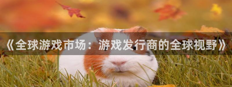 亿万28官网主管联3.7.9.9.7 主管：《全球游戏市场：游戏发行商的全球视野》