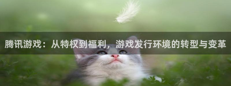 亿万28官网登录注册账号安全吗安全吗：腾讯游戏：从特权到福利，游戏发行环境的转型与变革