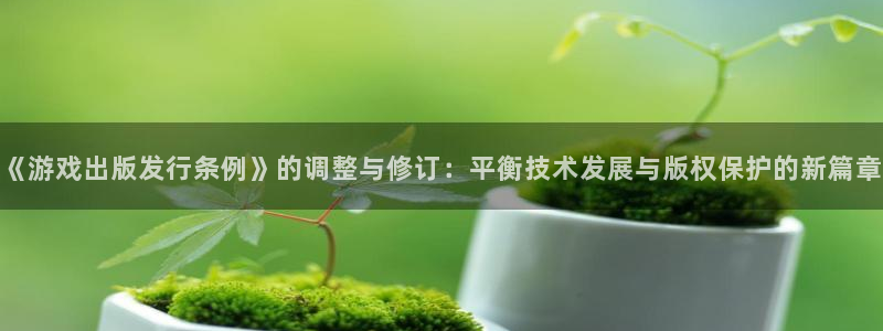 亿万28官网注册平台登录入口：《游戏出版发行条例》的调整与修订：平衡技术发展与版权保护的新篇章