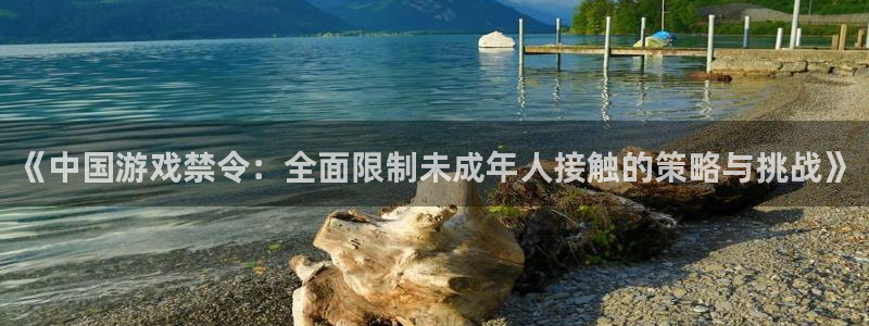 亿万28官网客服电话号码：《中国游戏禁令：全面限制未成年人接触的策略与挑战》
