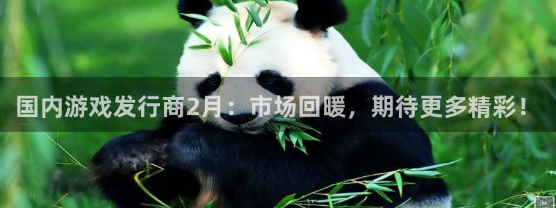广州亿万28电子商务：国内游戏发行商2月：市场回暖，期待更多精彩！