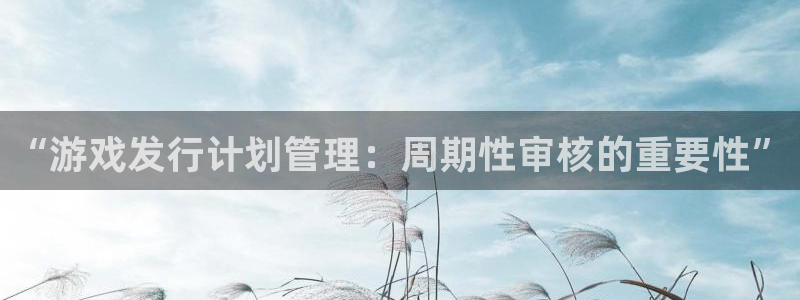 亿万28子签约作家：“游戏发行计划管理：周期性审核的重要性”
