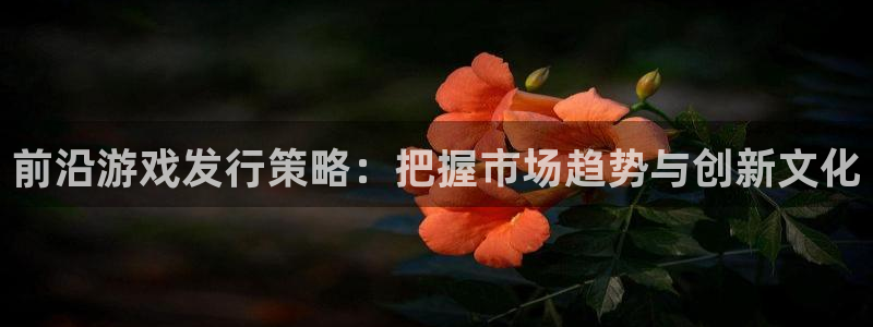 亿万28官网客服怎么样：前沿游戏发行策略：把握市场趋势与创新文化