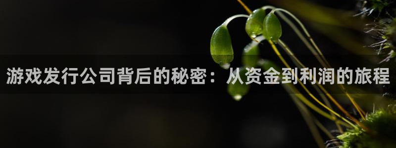 亿万28官网注册登录失败：游戏发行公司背后的秘密：从资金到利润的旅程