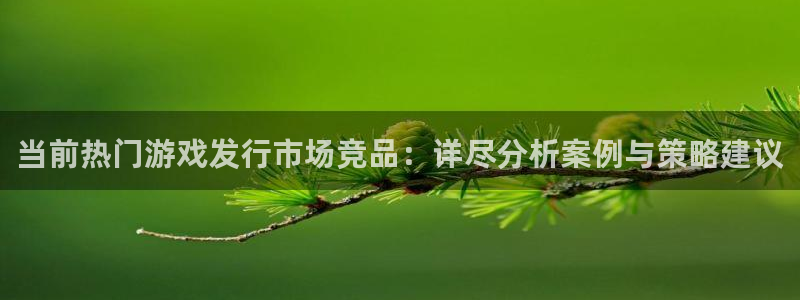 亿万28官网游戏：当前热门游戏发行市场竞品：详尽分析案例与策略建议