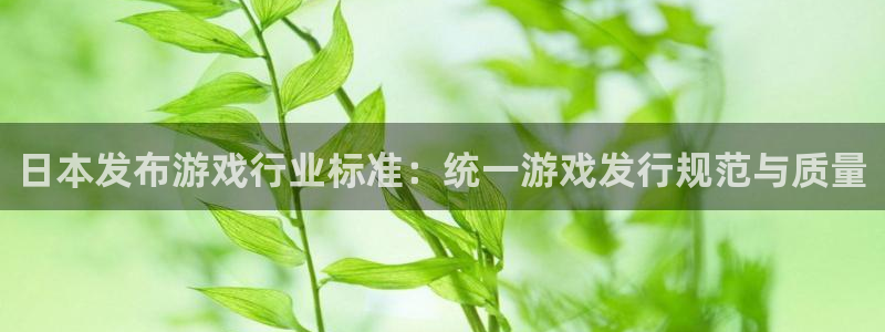 亿万28装饰：日本发布游戏行业标准：统一游戏发行规范与质量