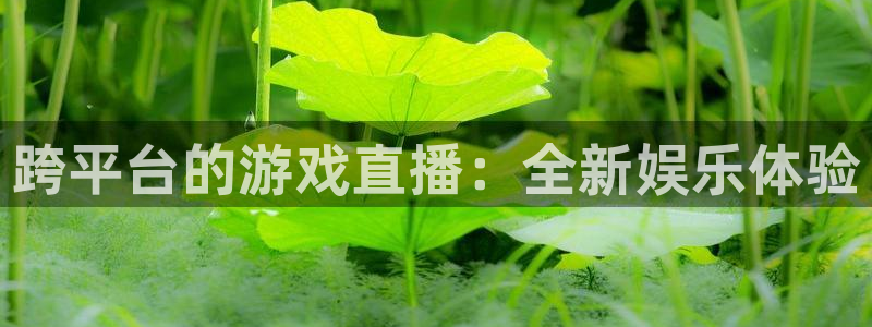 广东亿万28营销策划有限公司：跨平台的游戏直播：全新娱乐体验